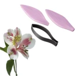 Alstroemeria leaf Cutter and Veiner Set