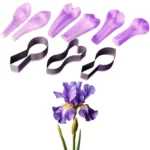 Iris Flower Cutter and Veiner Set