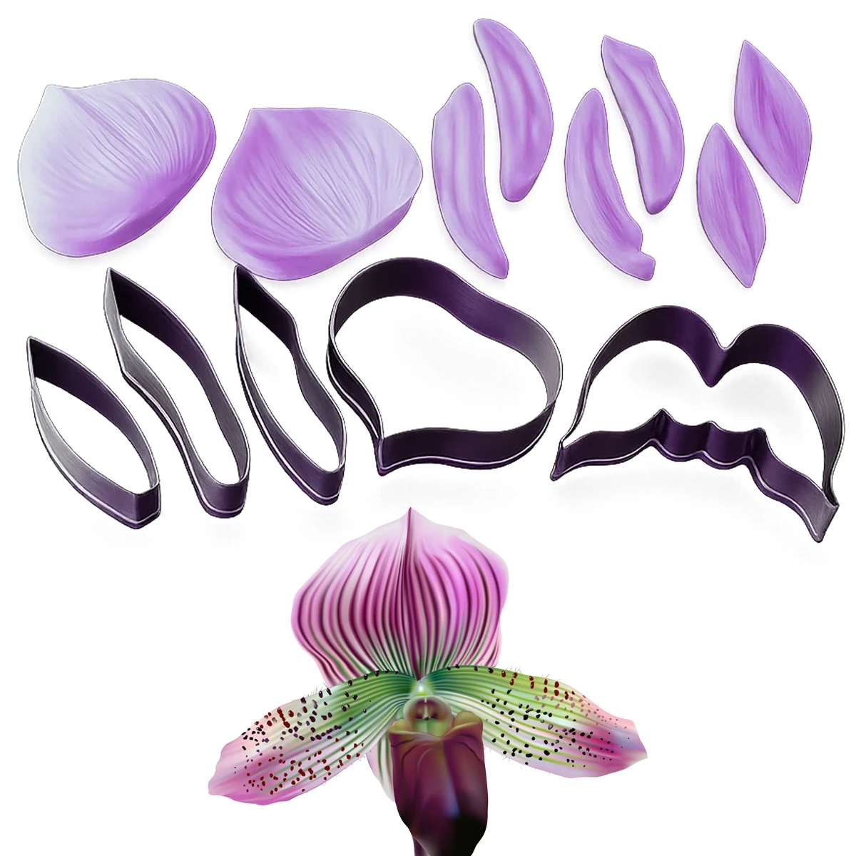 FVC23 Slipper Orchid Flower Cutter and Veiner Set - Image 1